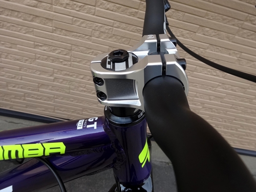 GT ラボンバ　フレームのみ GT ( ジーティー ) マウンテンバイク LA BOMBA RIGID 26